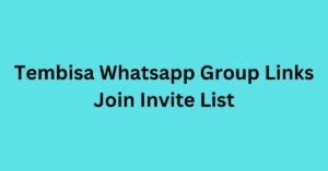 Read more about the article Tembisa Whatsapp Group Links Join Invite List